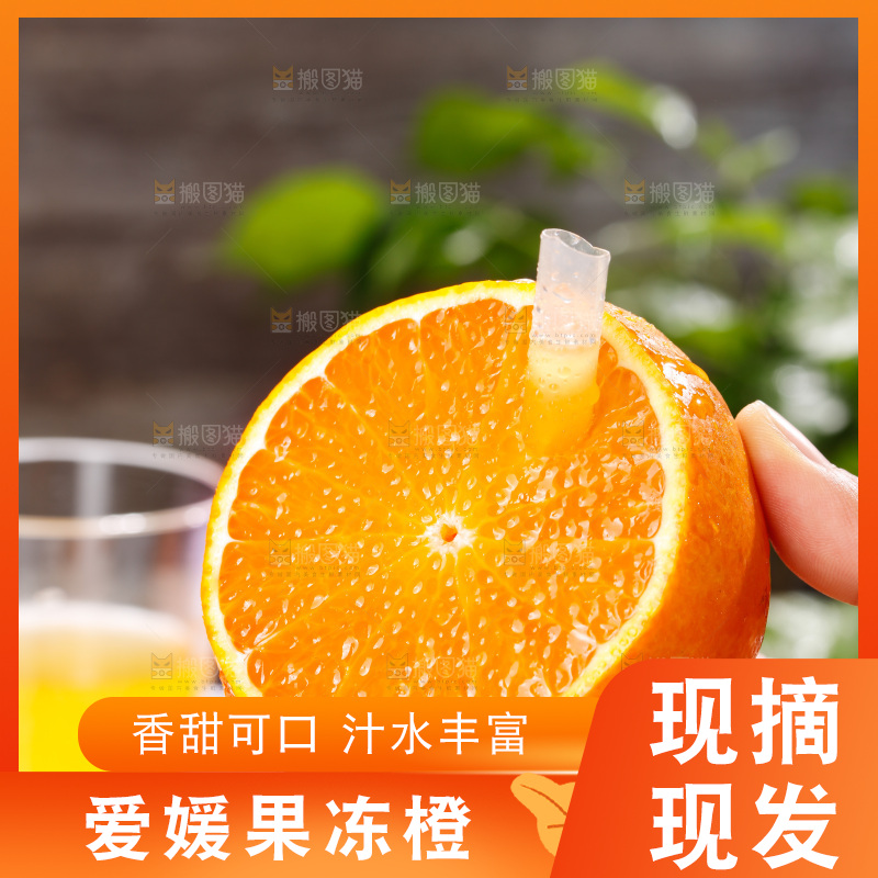 浅底上的爱媛果冻橙