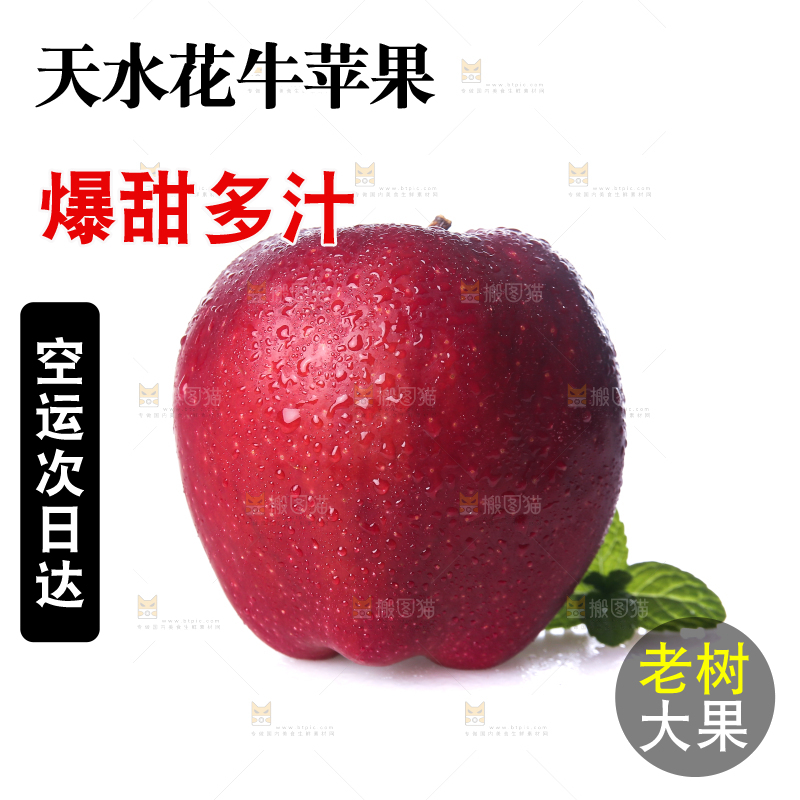 白底上的圣诞果