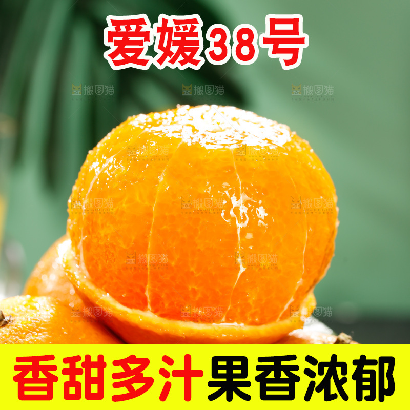 深底上的爱媛果冻橙