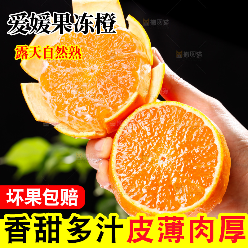 浅底上的爱媛果冻橙