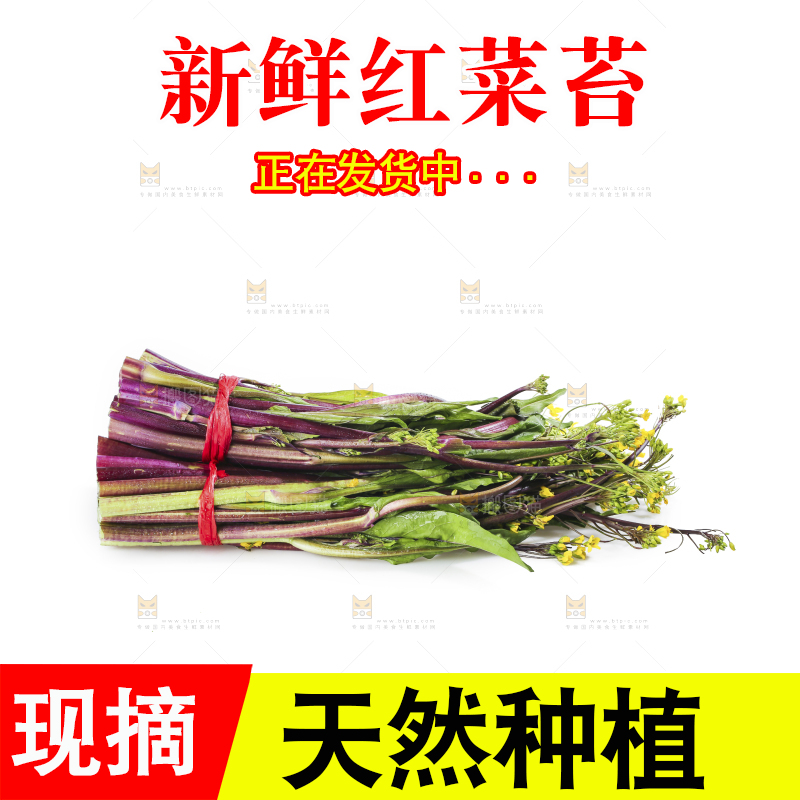 白底上的红菜苔