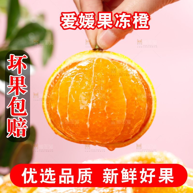爱媛果冻橙主图