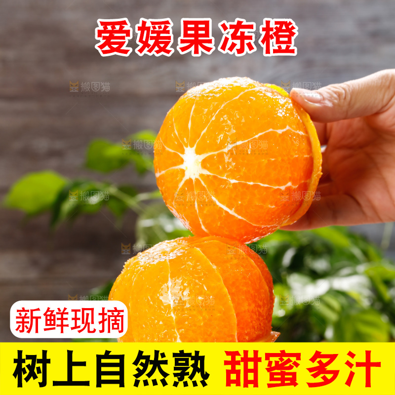 浅底上的爱媛果冻橙
