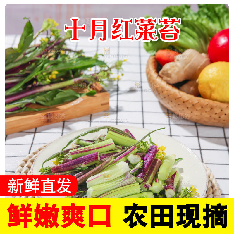浅底上的红菜苔