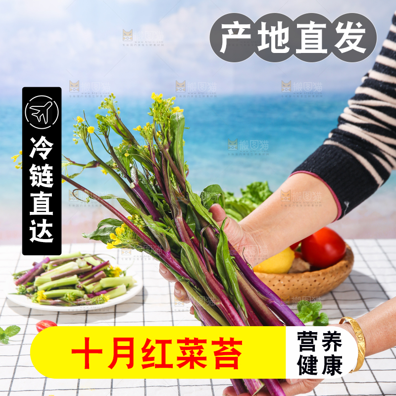 浅底上的红菜苔