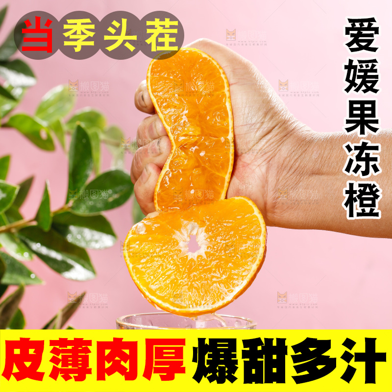 浅底上的爱媛果冻橙