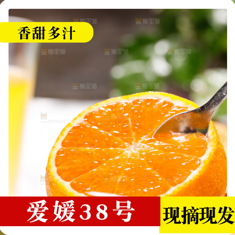 浅底上的爱媛果冻橙
