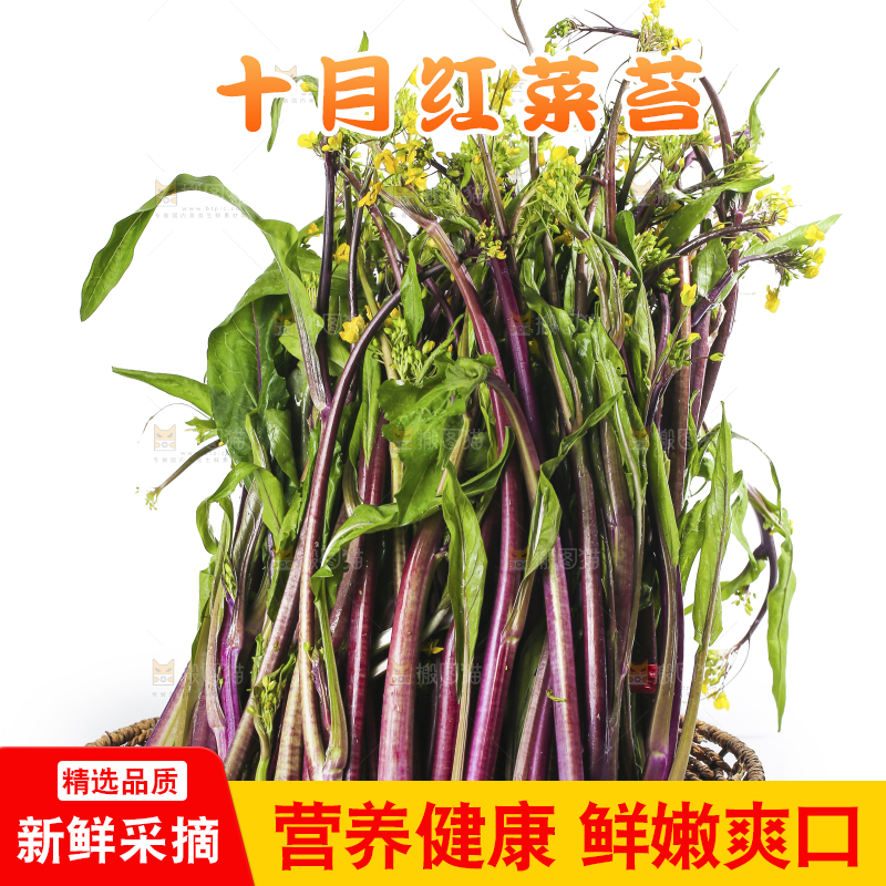 白底上的红菜苔