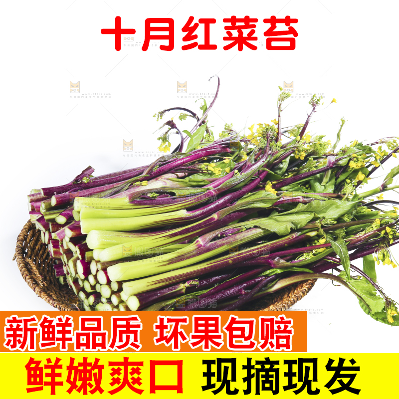 白底上的红菜苔