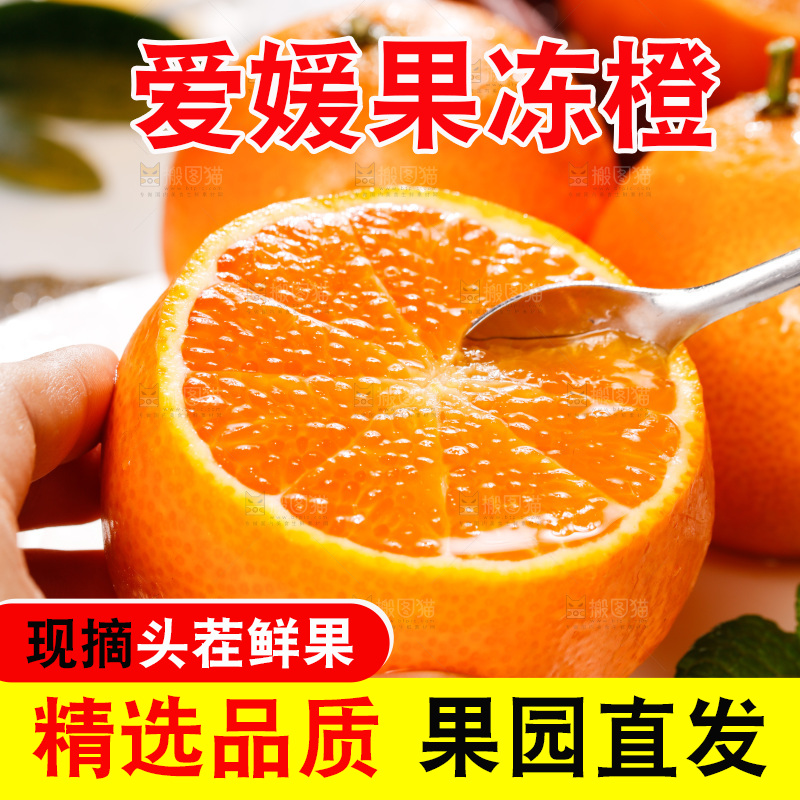 爱媛果冻橙主图