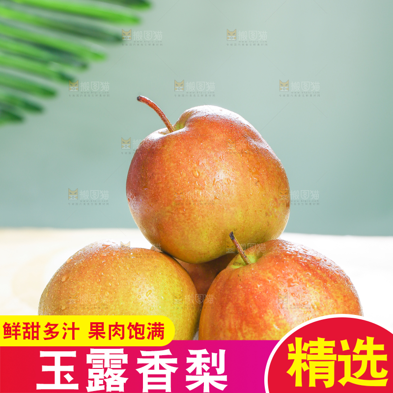 深底上的玉露香梨