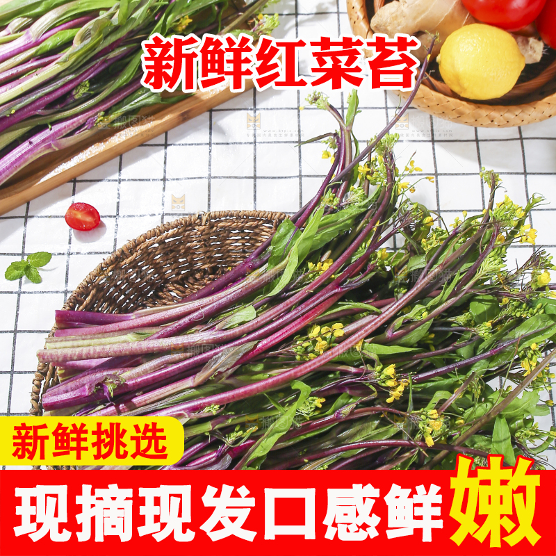 浅底上的红菜苔