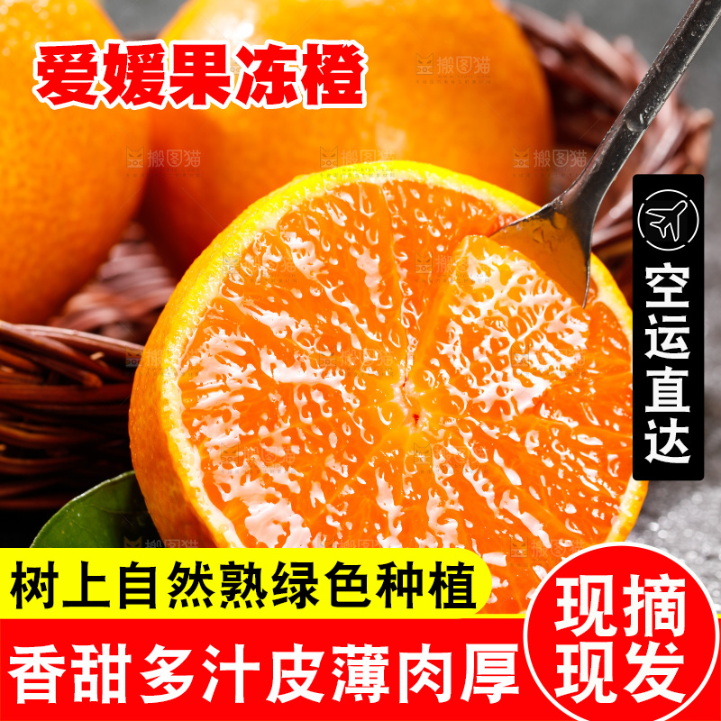 爱媛果冻橙主图