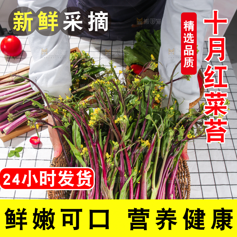 浅底上的红菜苔