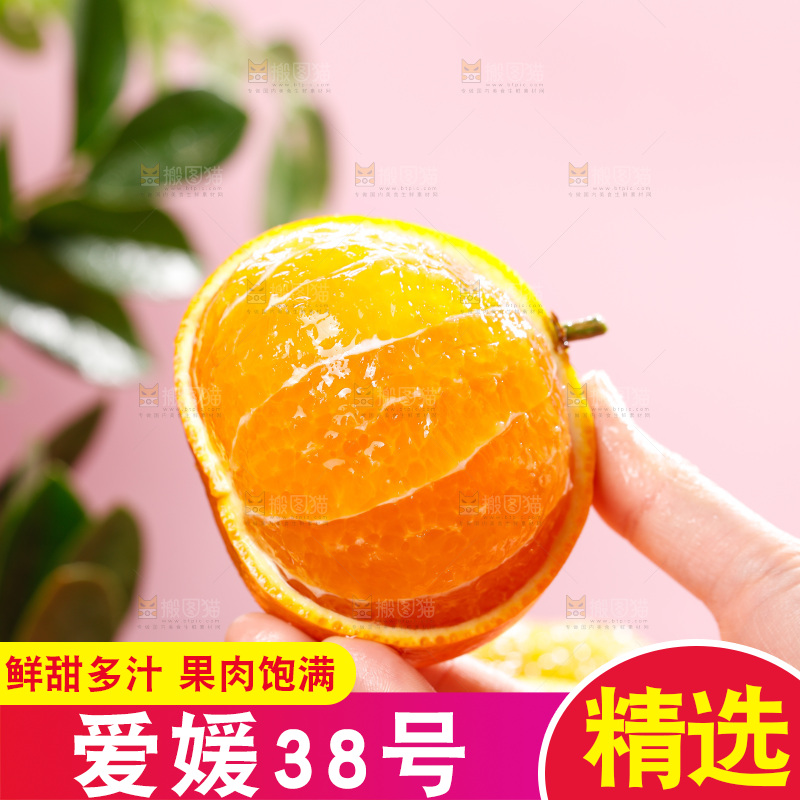 浅底上的爱媛果冻橙
