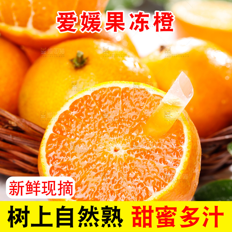 浅底上的爱媛果冻橙