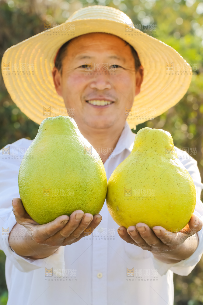 手里拿着沙田柚