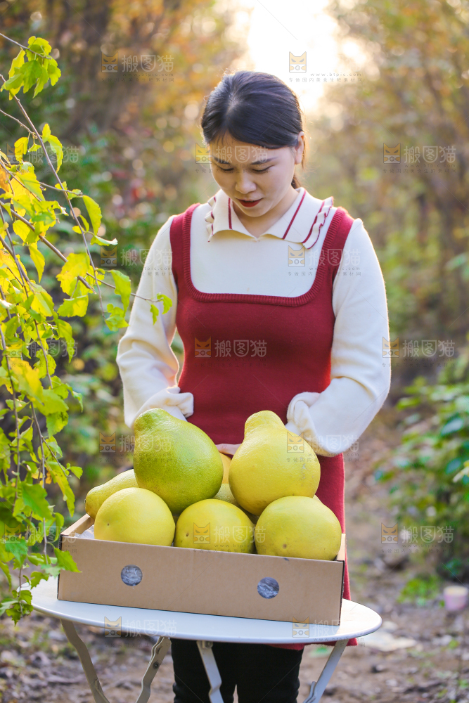 手里拿着沙田柚