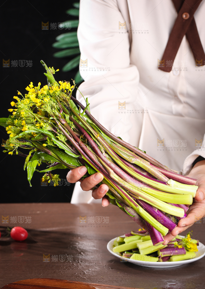深底上的红菜苔