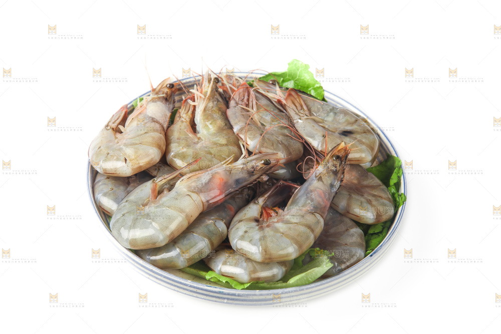 白底上的大虾