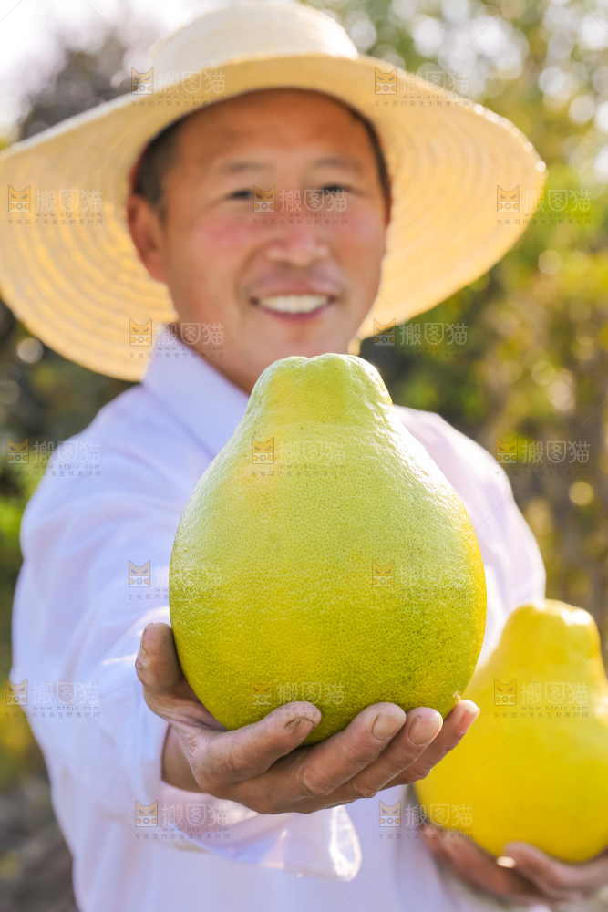 手里拿着沙田柚