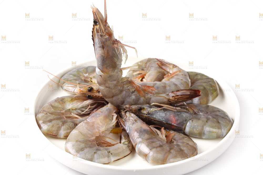 白底上的大虾