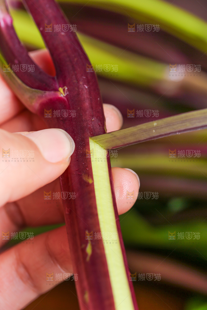 深底上的红菜苔