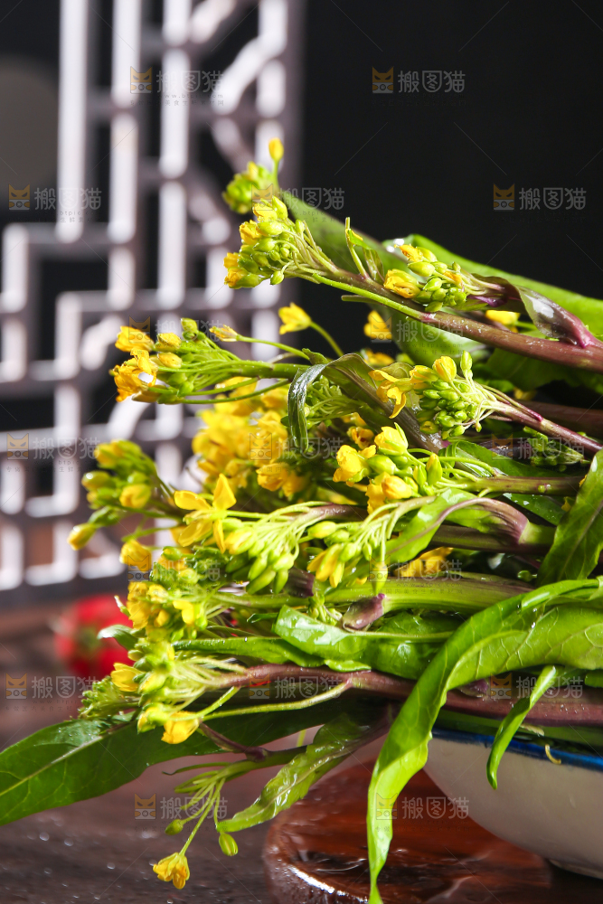深底上的红菜苔