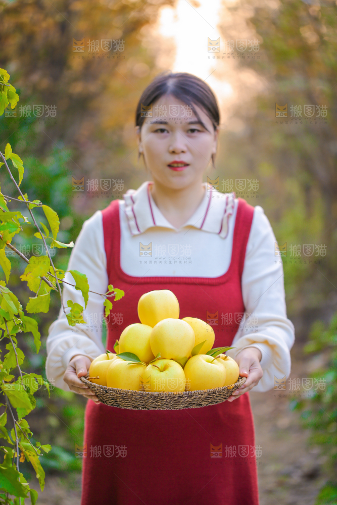 手里拿着黄元帅苹果