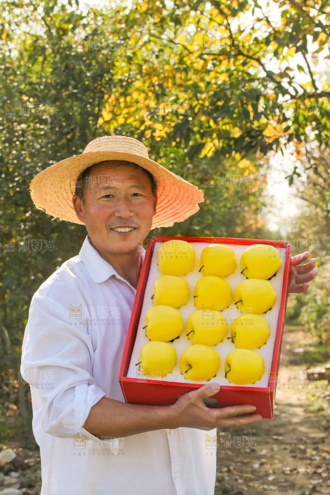 手里拿着黄元帅苹果