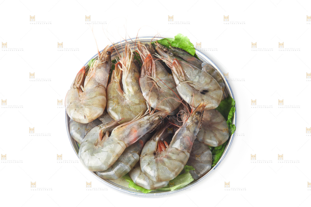 白底上的大虾