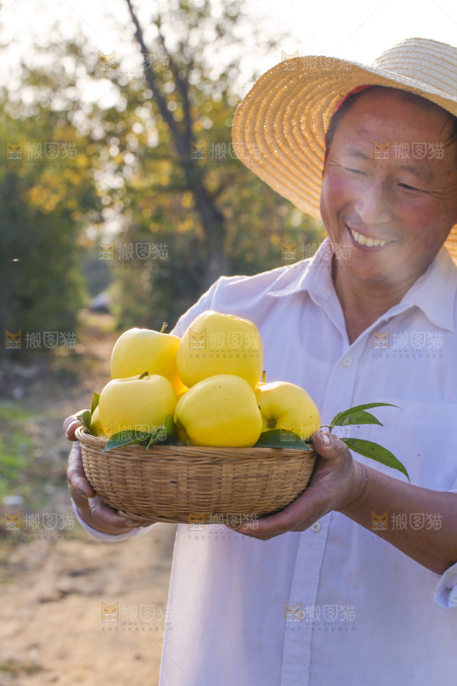手里拿着黄元帅苹果