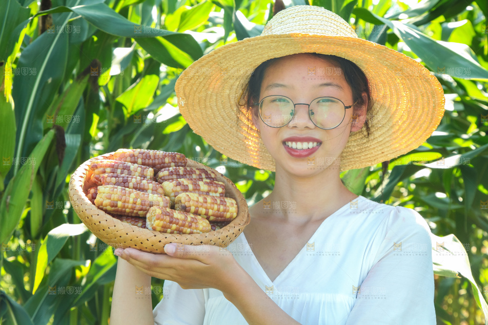 手里拿着小花糯玉米