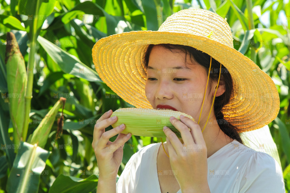 手里拿着牛奶玉米