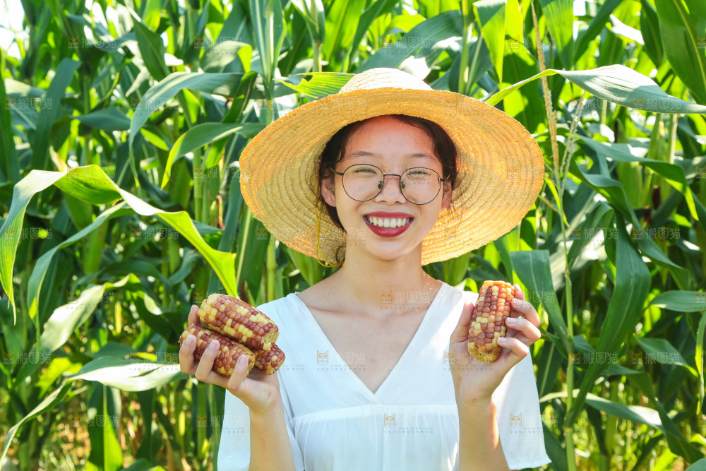 手里拿着小花糯玉米