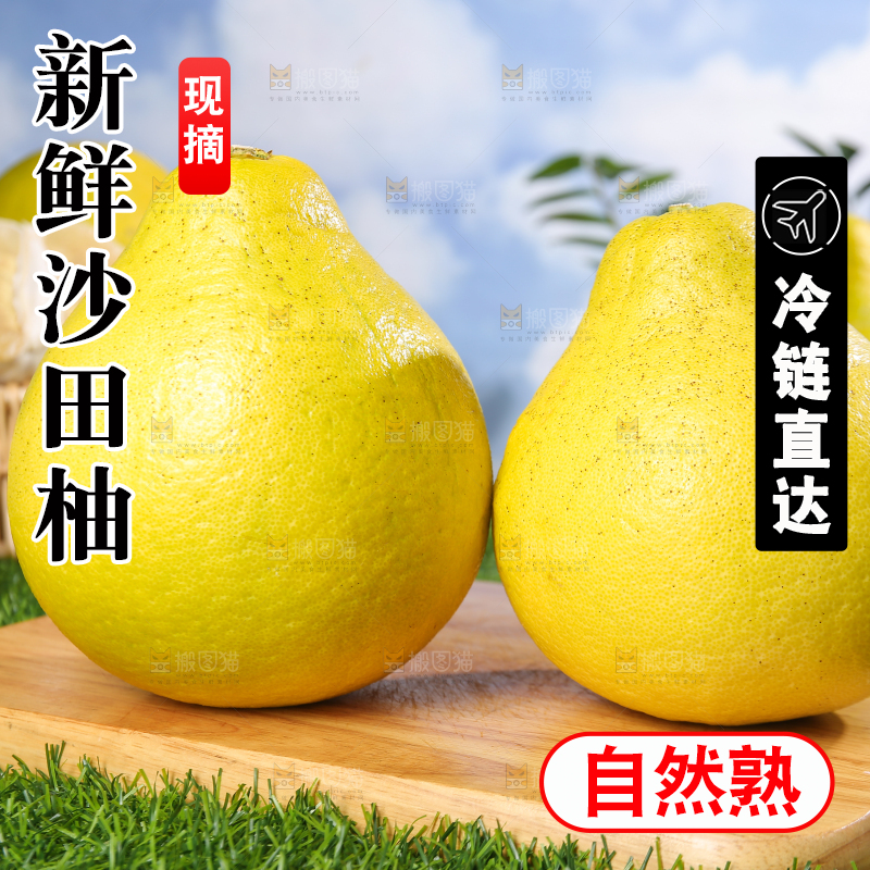 浅底上的沙田柚