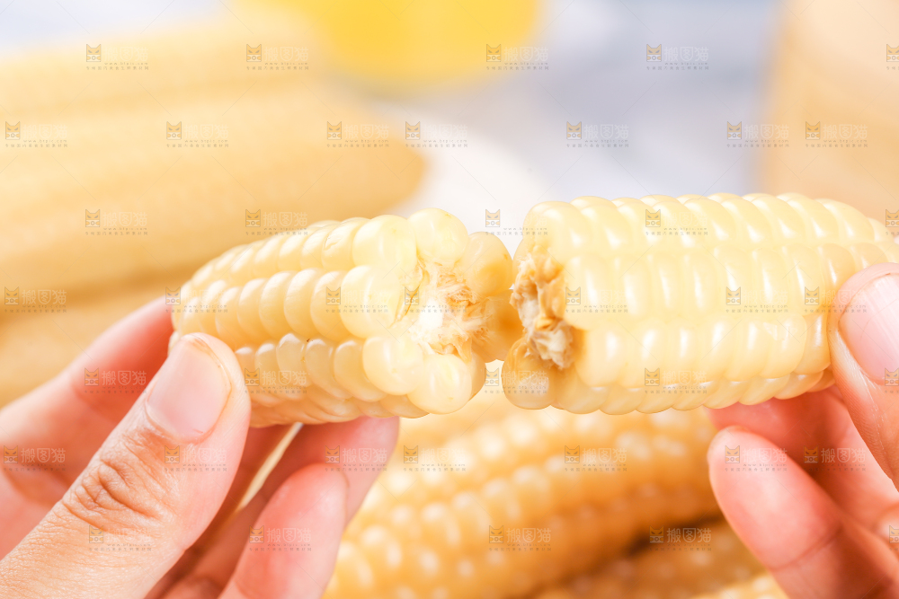 浅底上的手指糯玉米