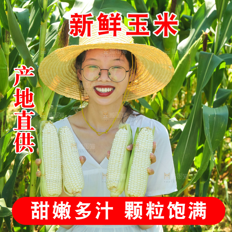 手里拿着牛奶玉米