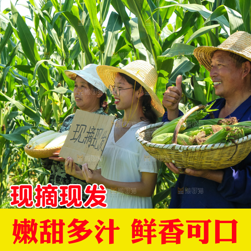 手里拿着牛奶玉米