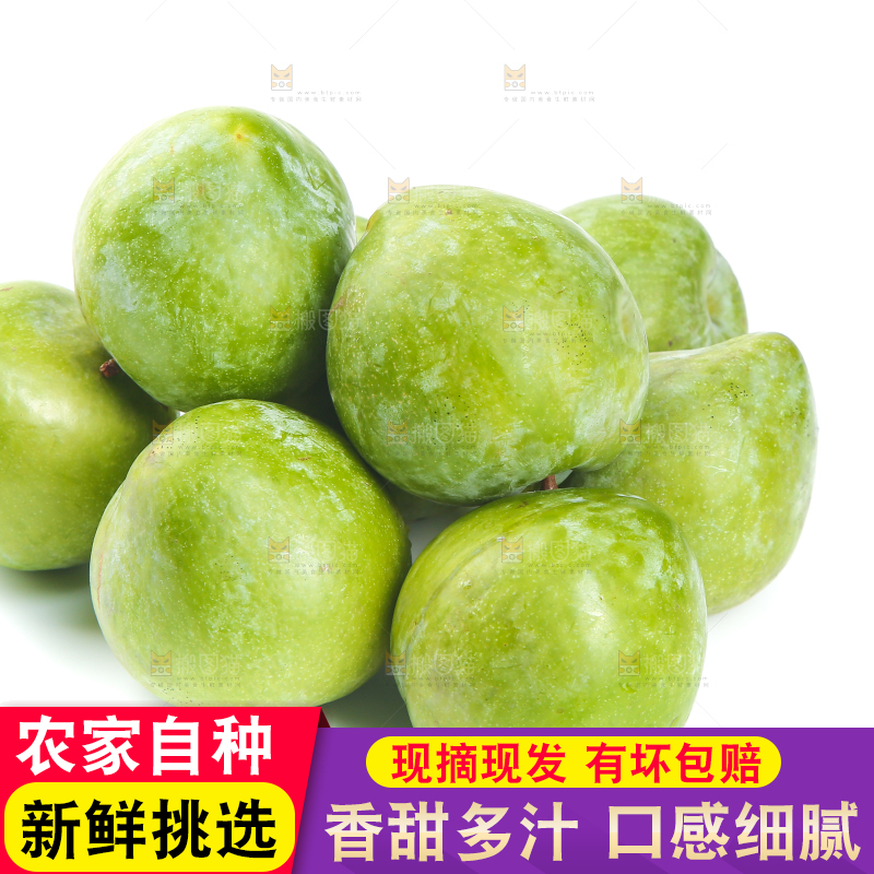 白底上的奈李
