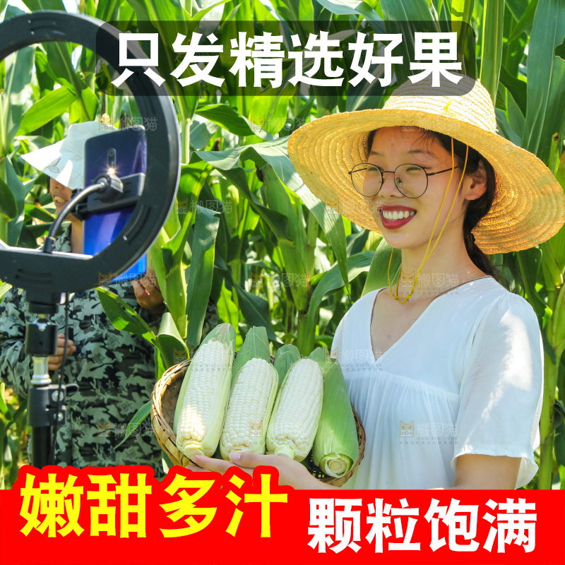 手里拿着牛奶玉米
