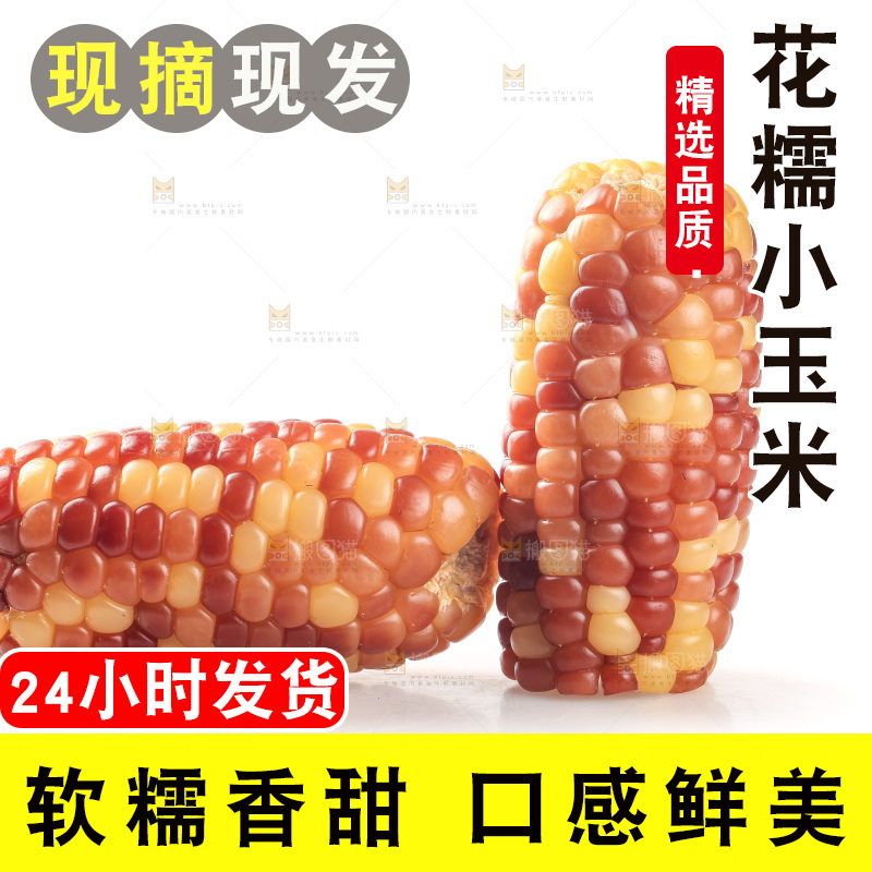 白底上的小花糯玉米