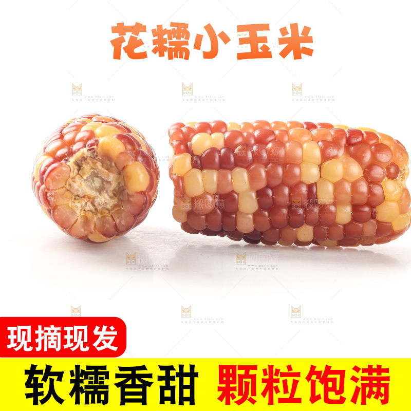 白底上的小花糯玉米