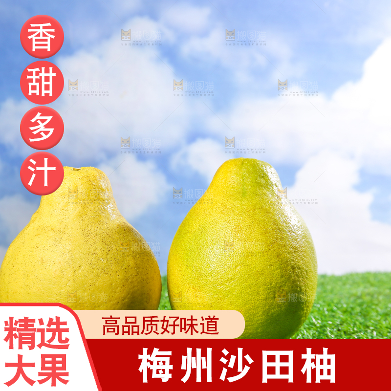 浅底上的沙田柚