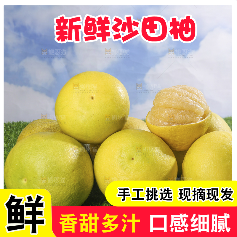 浅底上的沙田柚