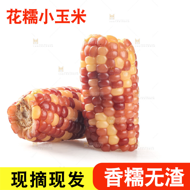 白底上的小花糯玉米
