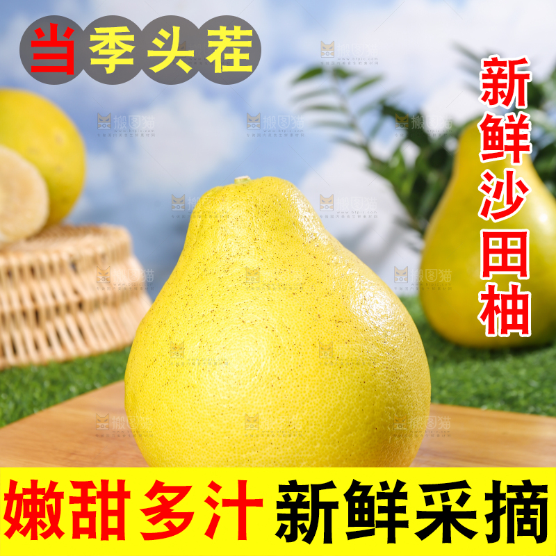 浅底上的沙田柚