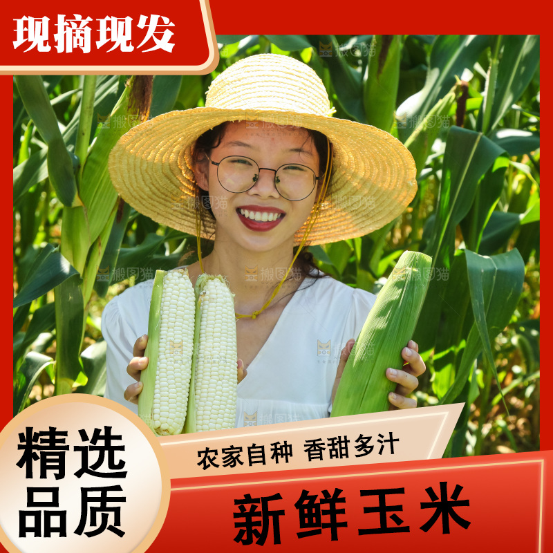 手里拿着牛奶玉米