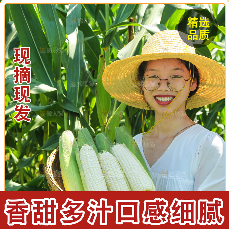 手里拿着牛奶玉米