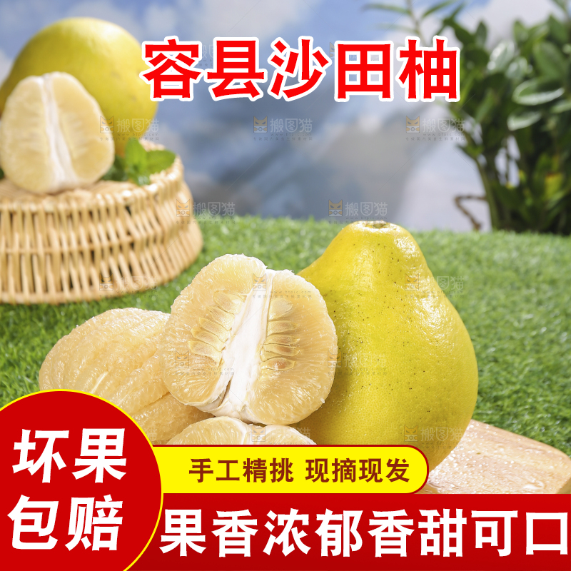 浅底上的沙田柚